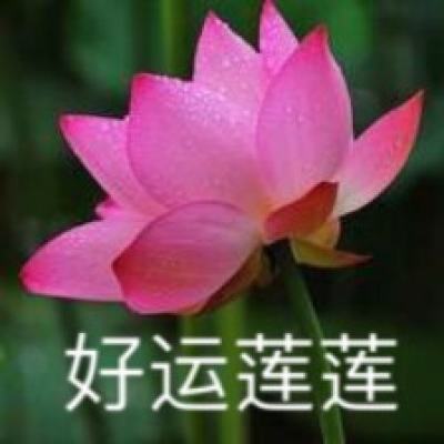 宁夏国有资产投资控股集团高级顾问赵其宏接受审查调查